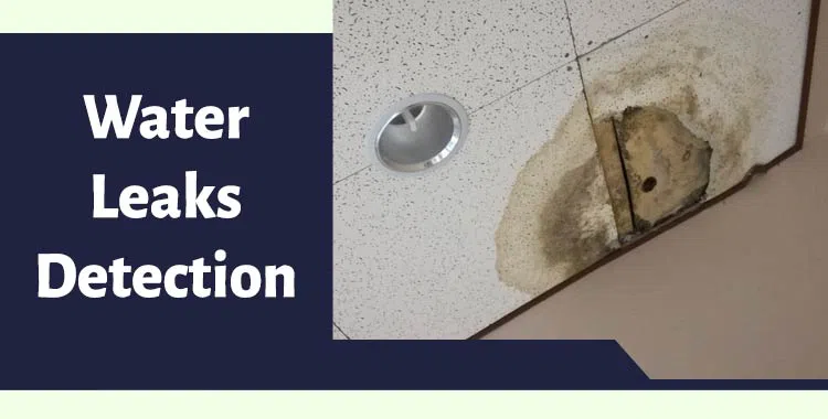 #bslide1 logo-image - banner-1