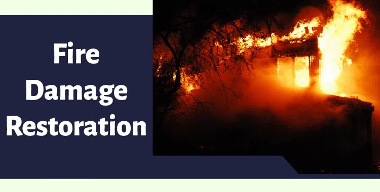 #bslide2 logo-image - banner-2